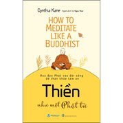 How To Meditate Like A Buddhist - Thiền Như Một Phật Tử