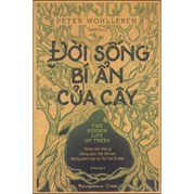 Đời Sống Bí Ẩn Của Cây