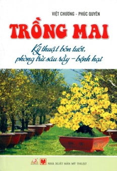 Trồng Mai - Kỹ Thuật Bón Tưới, Phòng Trừ Sâu Rầy, Bệnh Hại