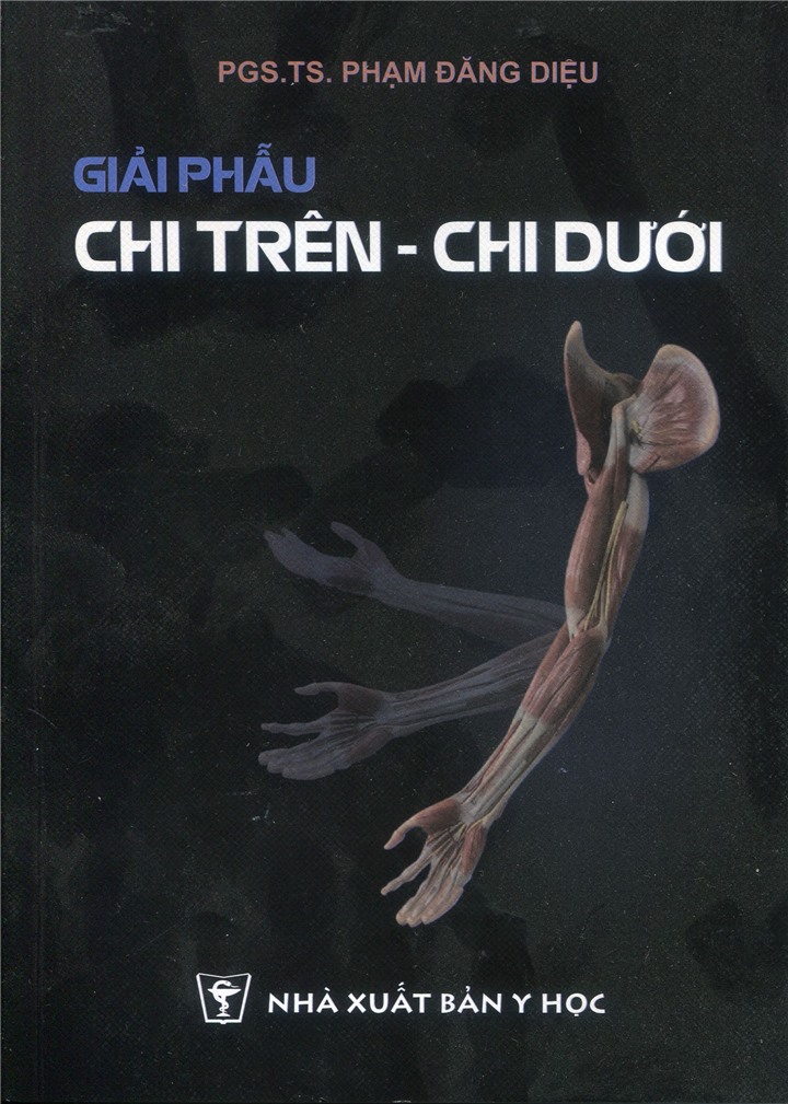 Giải phẫu chi trên chi dưới