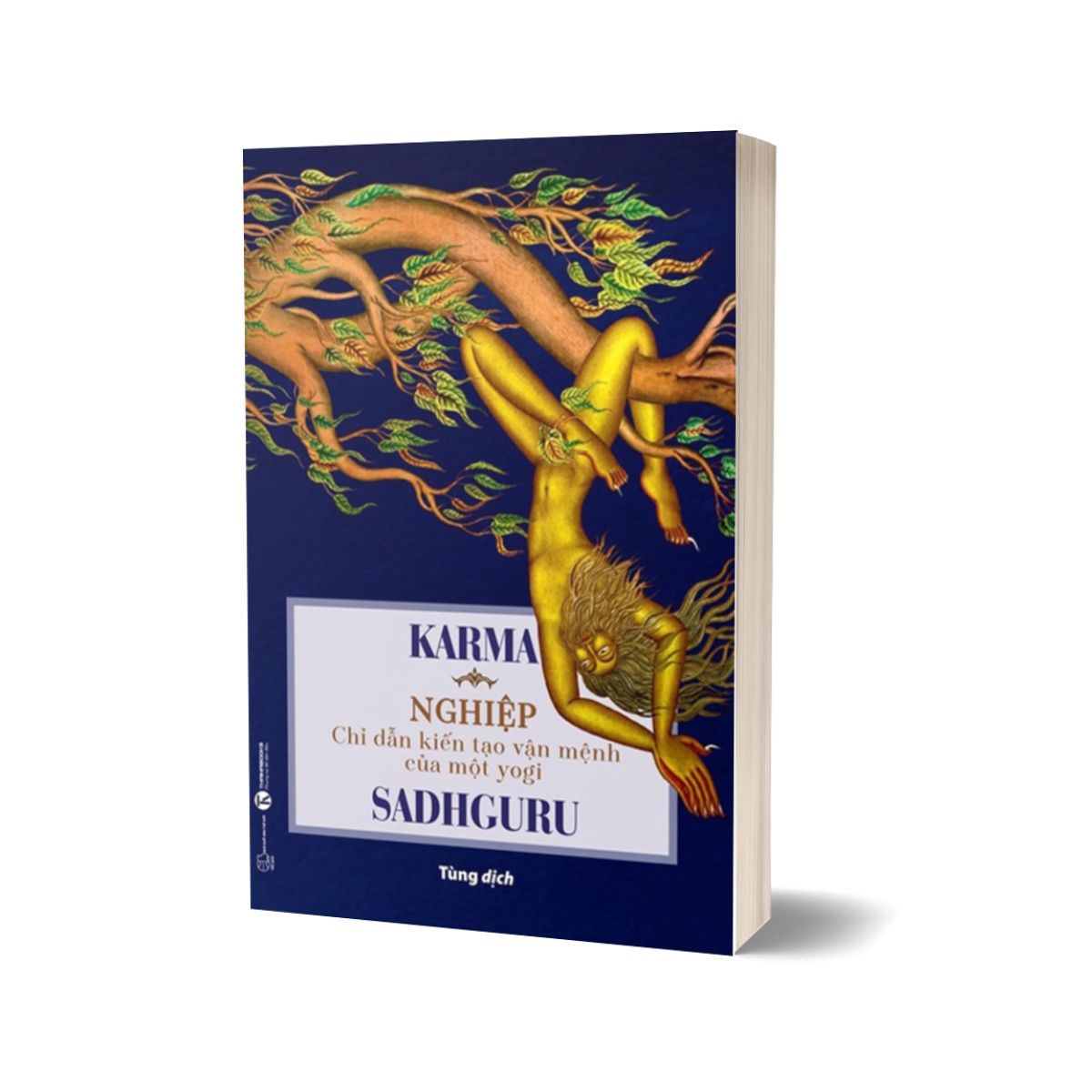 Karma - Nghiệp: Chỉ Dẫn Kiến Tạo Vận Mệnh Của Một Yogi