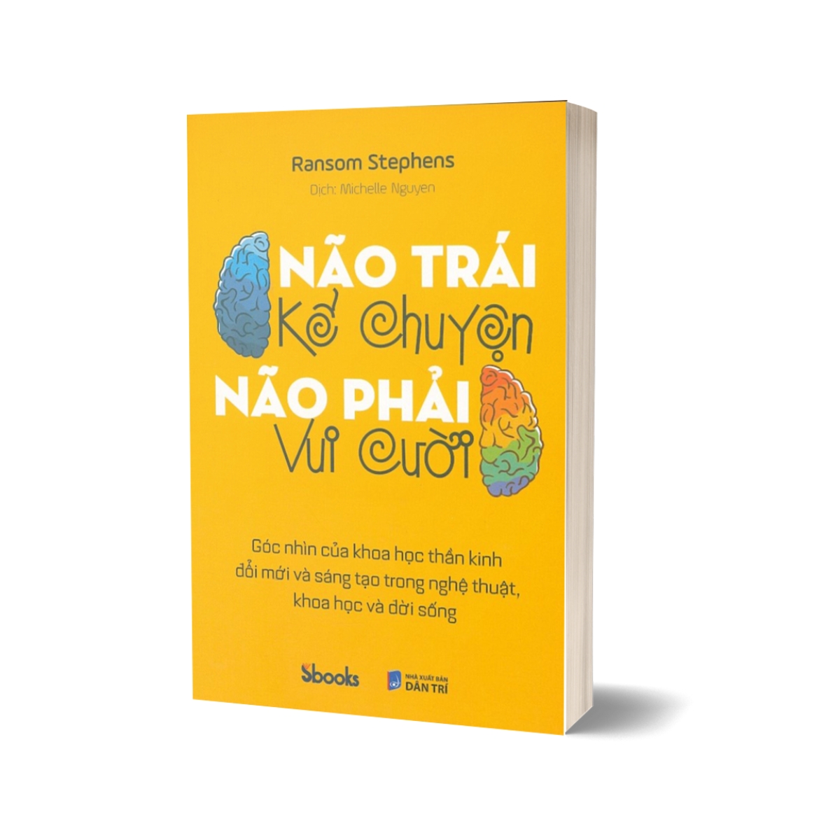 Não Trái Kể Chuyện Não Phải Vui Cười