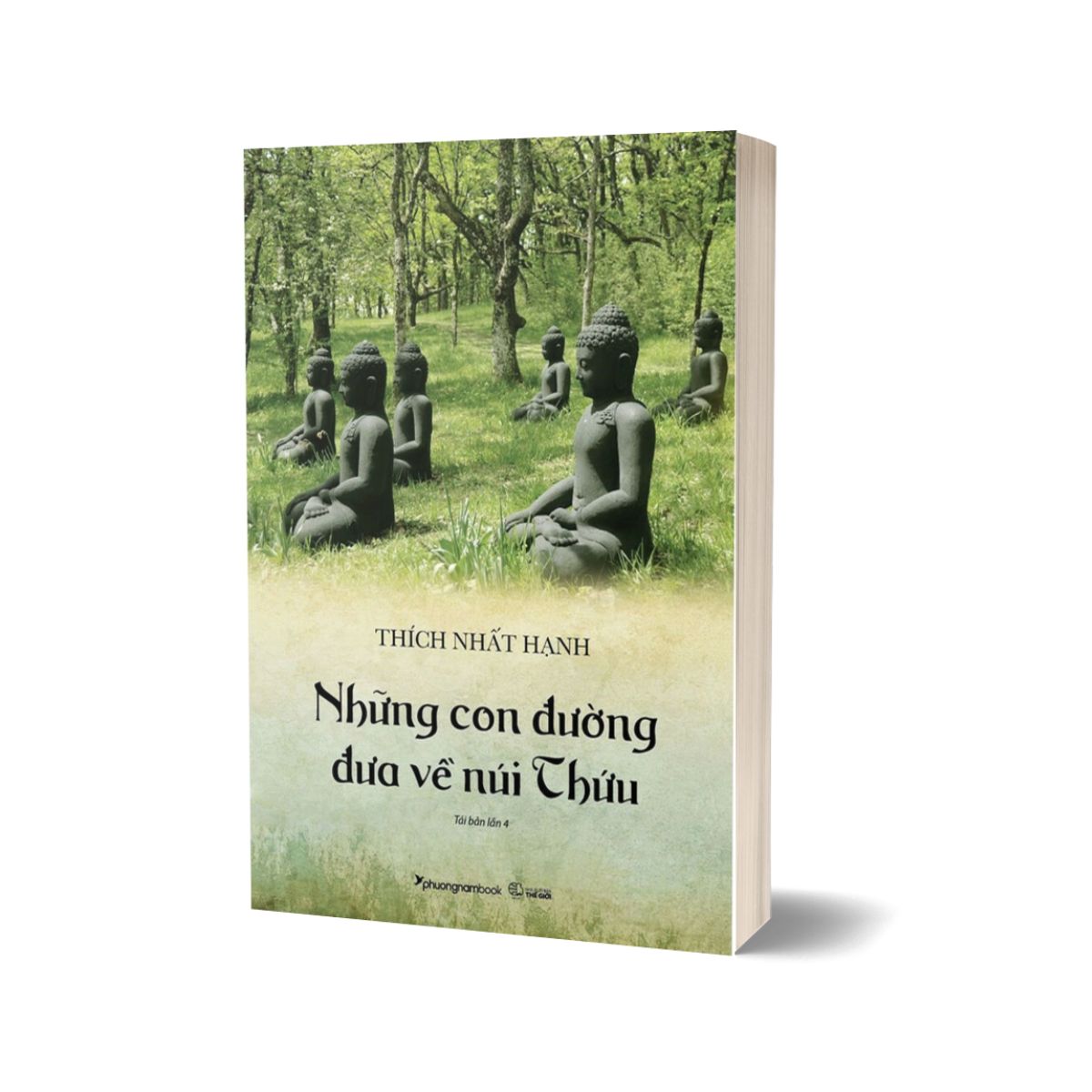 Những Con Đường Đưa Về Núi Thứu