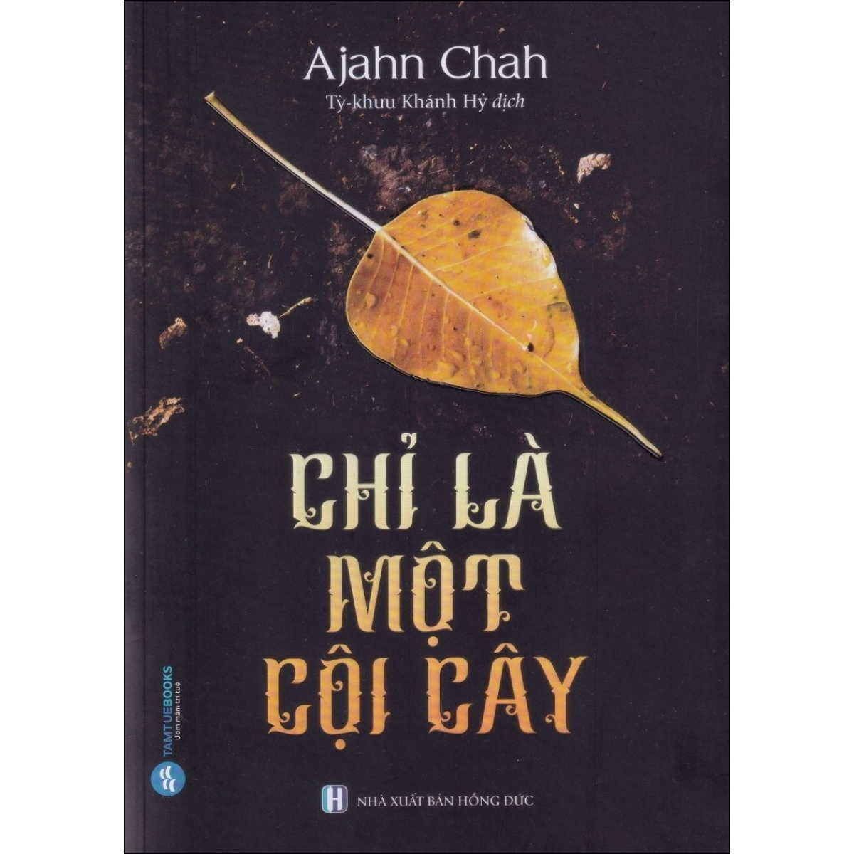 Chỉ Là Một Cội Cây